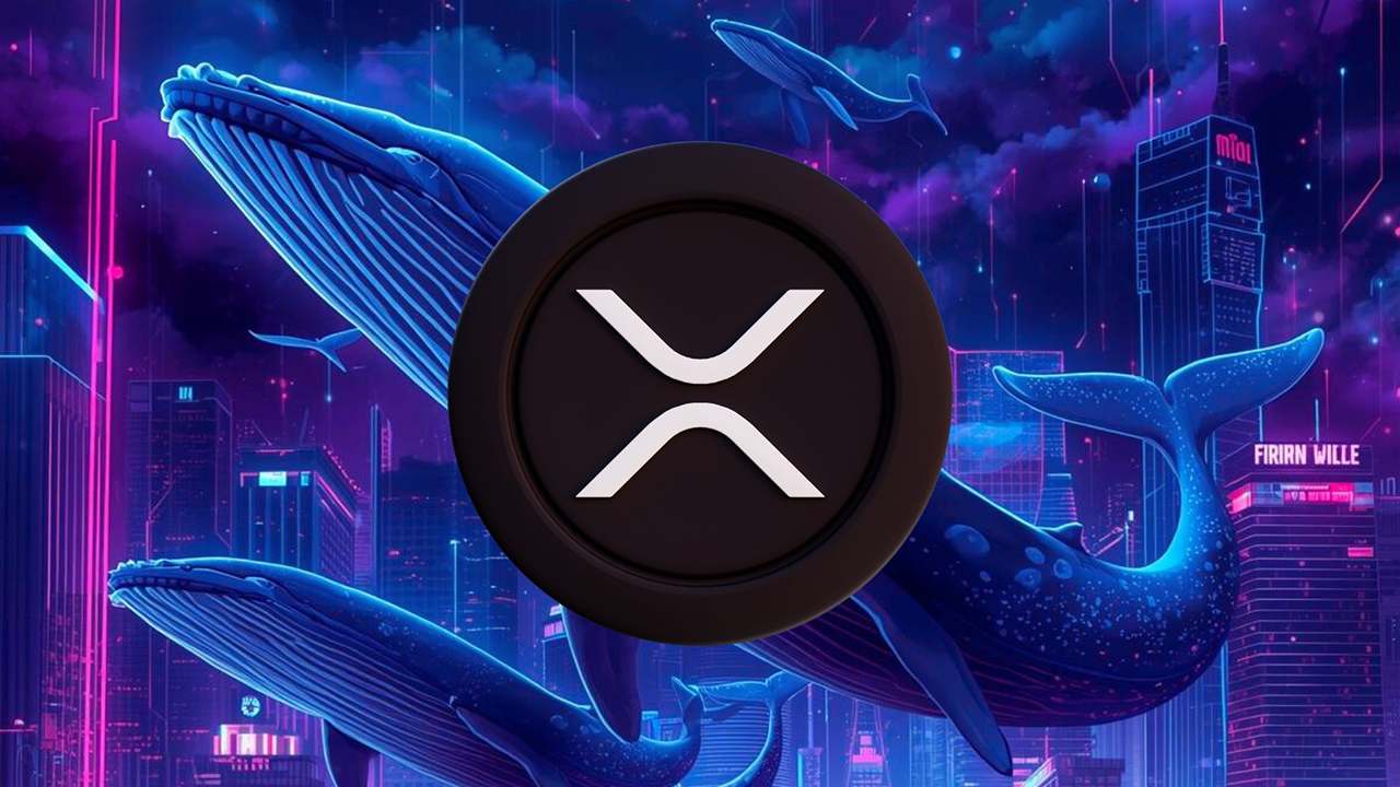 XRP nurkuje, ale wieloryby rosną. Pierwsza taka sytuacja od września. Jest coś jeszcze