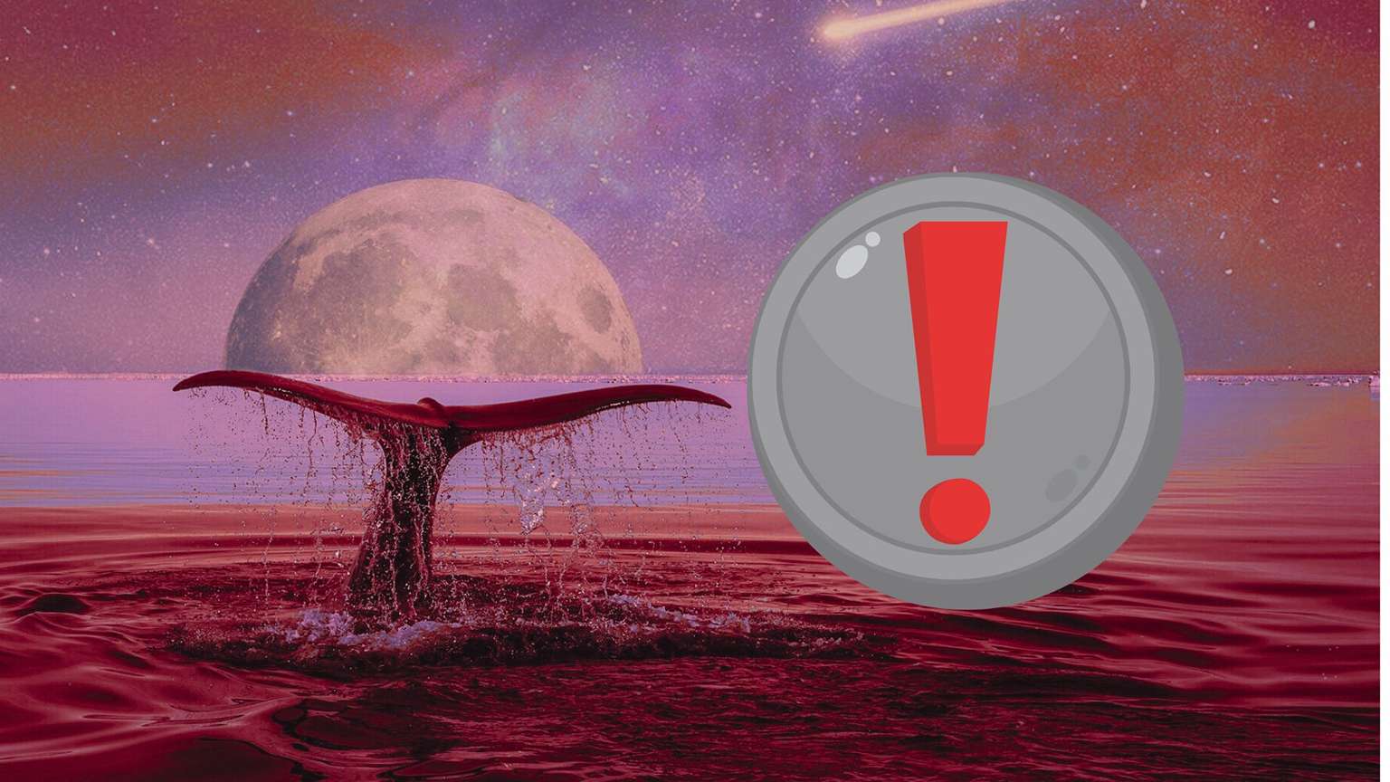 CEO CryptoQuant ostrzega przed słabością Bitcoina. Wieloryby kapitulują i wróżą bessę?