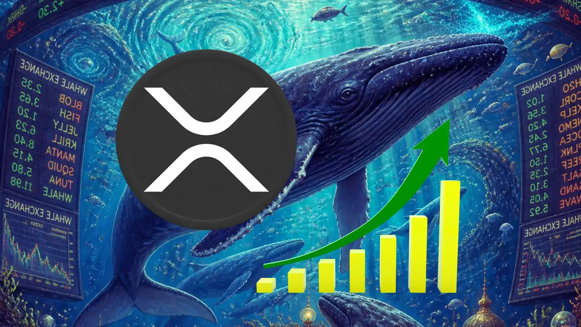 Ponad 231 mln XRP znika z giełd. Co planują wieloryby i jak zareaguje kurs XRP?