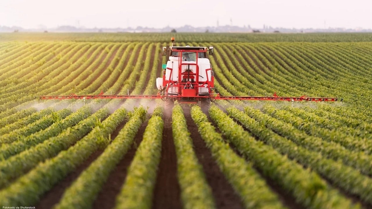 Przebić umowę z Mercosur osikowym kołkiem. Francja zapowiada zakaz czyniący z paktu martwy zapis