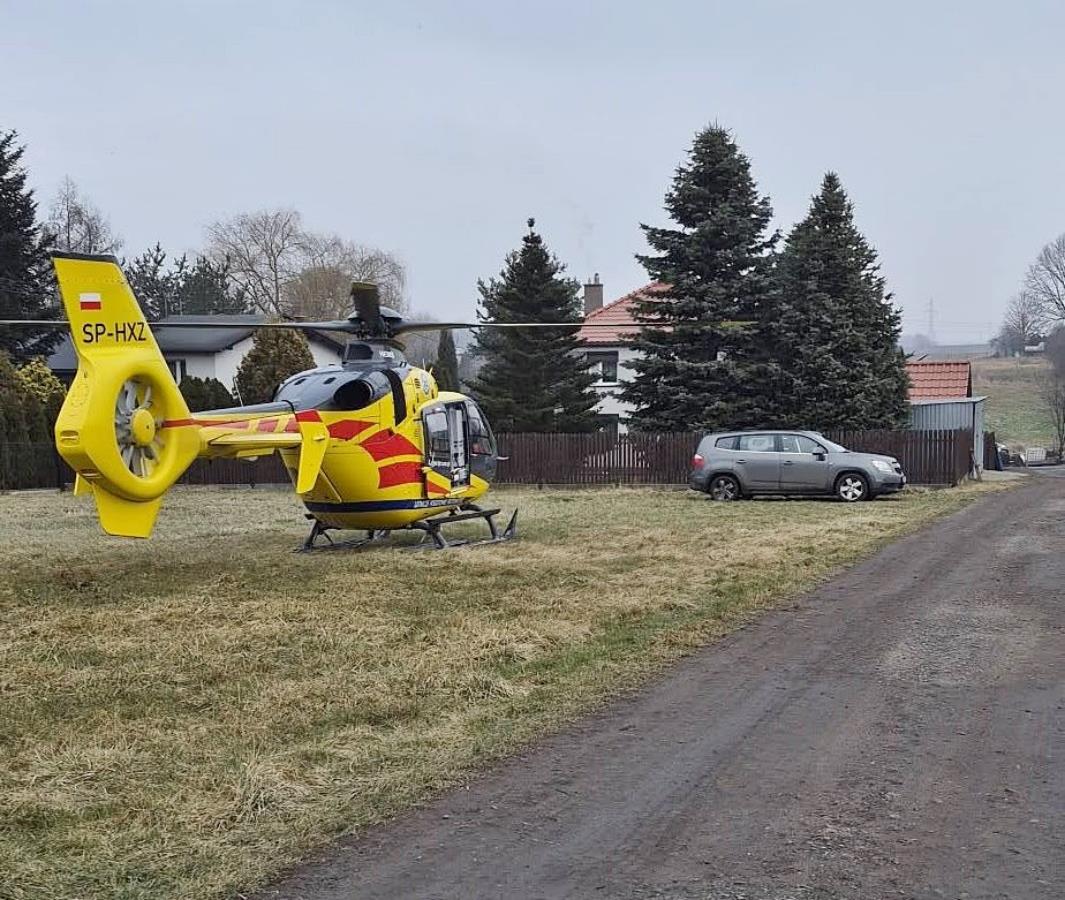 Ornontowice: Służby ratunkowe powiadomiono, iż kobietę poturbował byk