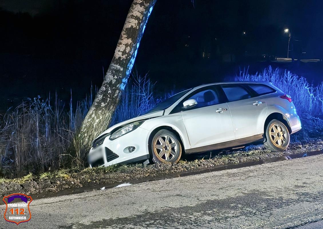 Zatrzymał się na drzewie