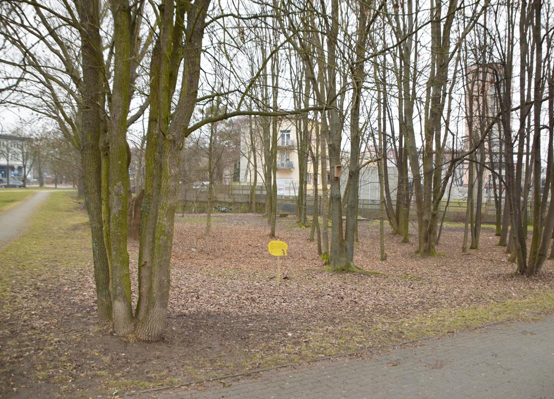 W Tychach wybudowana zostanie toaleta publiczna za pół miliona złotych