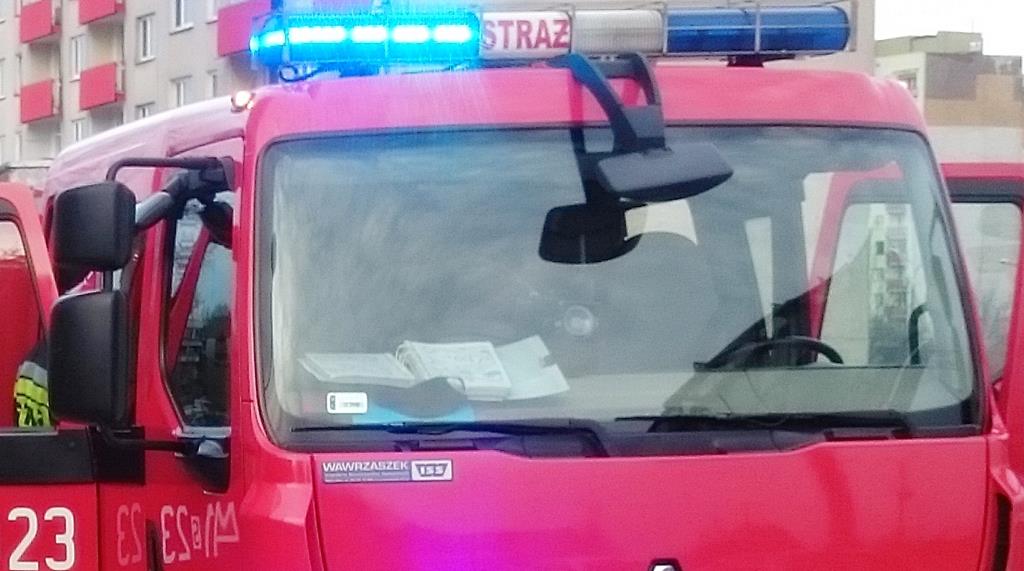 Tychy: Śmierć za śmiercią. Marcowa seria samotnych zgonów