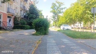 Nieprzycinany żywopłot wzdłuż Alei Bielskiej zagraża bezpieczeństwu pieszych. Czytelnicy informują, my publikujemy