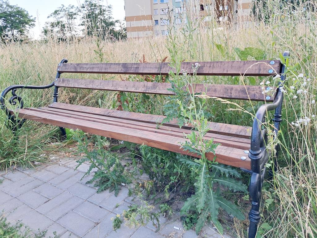 Zarośnięte Tychy: Osty bronią dostępu do ławki. Czytelnicy informują, my publikujemy