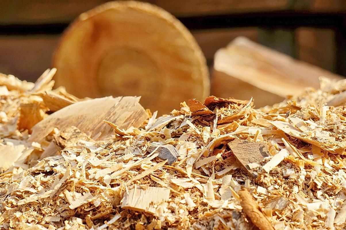 Piece na zrębki drzewne w przemyśle i instytucjach – czy biomasa może zastąpić gaz i olej?