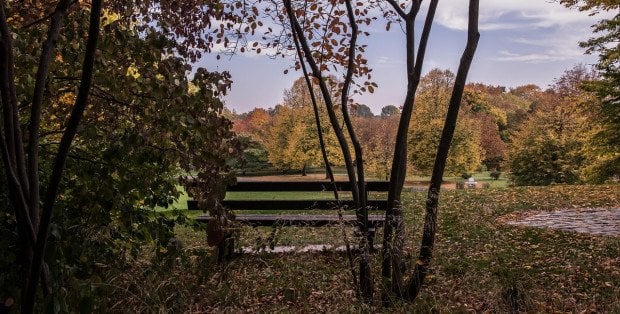Używają dmuchaw na liście mimo zakazu. „Będą konsekwencje”