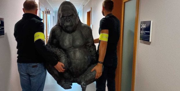 W Płocku ukradli goryla. Przejechał w bagażniku 50 km