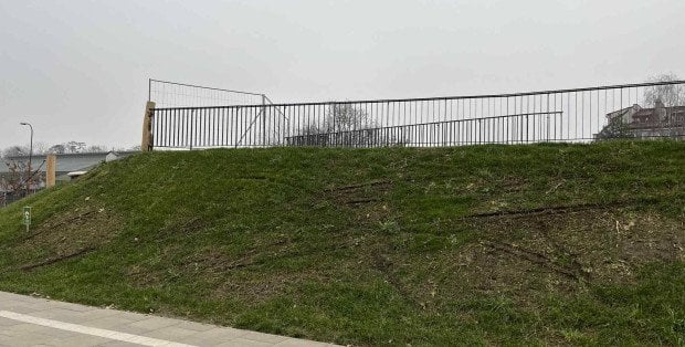 Wandale zniszczyli część parku na Ursynowie. „Rozjechano alejki”