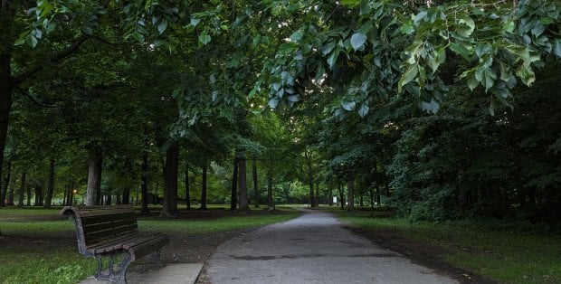 Stary park w Siedlcach przejdzie metamorfozę. „Nie jest zadbany”