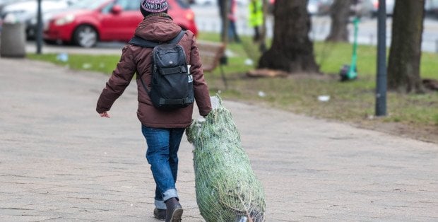 Dziś Wigilia. Skąd tradycja ubierania choinki i dlaczego kładzie się sianko pod obrusem?