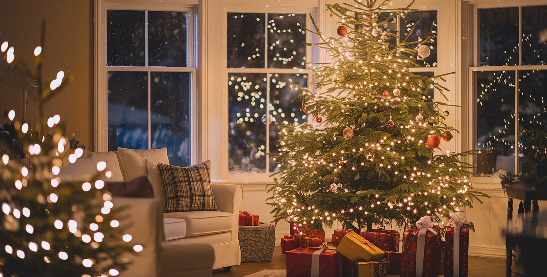 Co zrobić, żeby choinka nie gubiła igieł i została z nami jak najdłużej?