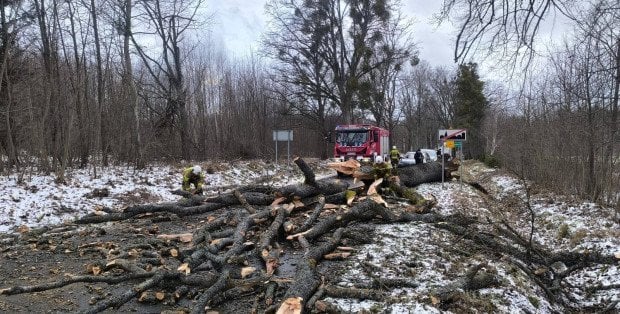 PSP: W środę 248 interwencji strażaków, najwięcej na Warmii i Mazowszu