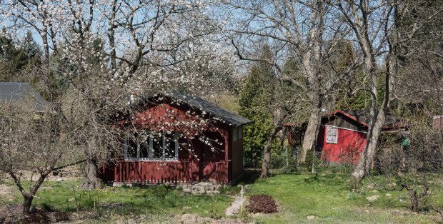 ROD „Wilga” na Pradze zagrożone zabudową? Dzielnica wznowi procedowanie wniosków