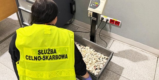 Udaremniony przemyt prawie 5 kg rafy koralowej z Seszeli na lotnisku Chopina