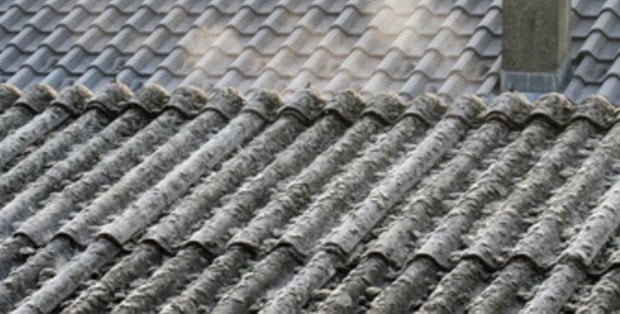 Płock bez azbestu? Miasto chce się go pozbyć do końca stycznia