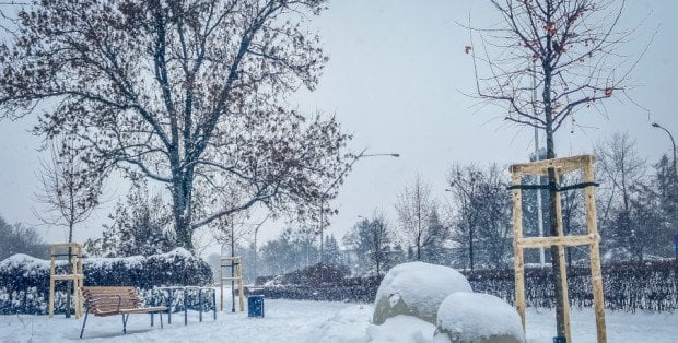 Gdzie w Warszawie na sanki? „W wielu parkach miejsc na to nie ma”