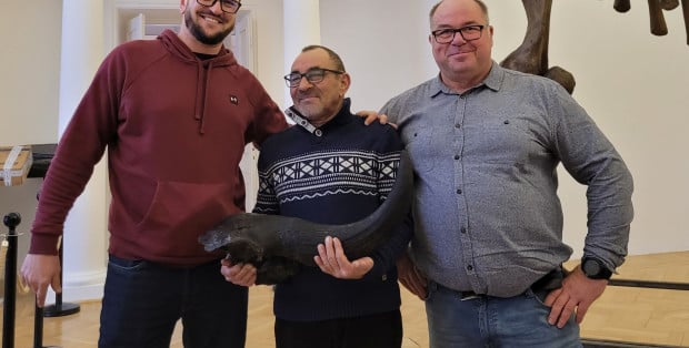 Fragment czaszki 偶ubra stepowego w Muzeum Ziemi