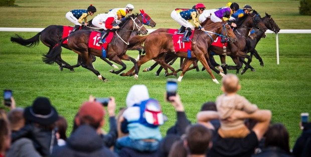 Koń uśpiony po wyścigu na Służewcu. Sprawą zajmuje się prokuratura