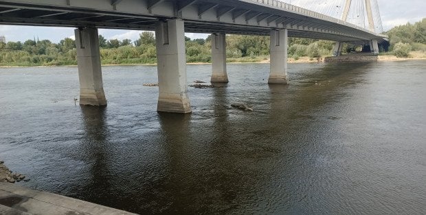 Chcą mostu Krasińskiego, ale w zmienionej formie. Dziś sesja rady Białołęki