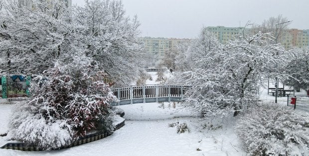 Blisko 600 szkół odwołało dziś zajęcia. Powodem silne mrozy
