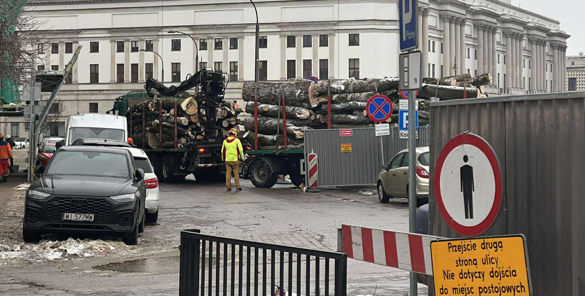 „Zostały tylko tuje”. Ponad 70 drzew zniknęło z Ogrodu Saskiego