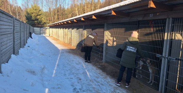 Kolejne schronisko dla zwierząt na Mazowszu zamknięte
