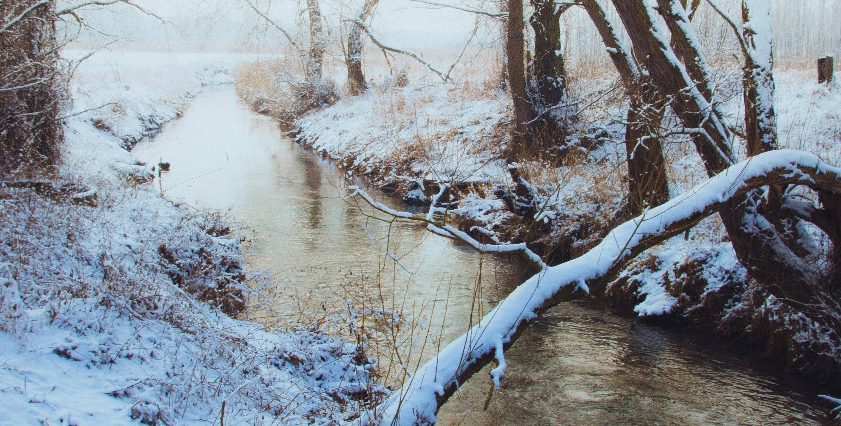 Rośnie poziom wody na rzece Mławka. Straż pożarna szykuje worki z piaskiem