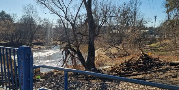 „Zrobiło się pusto”. Mieszkańcy powiatu otwockiego o wycince drzew nad Świdrem