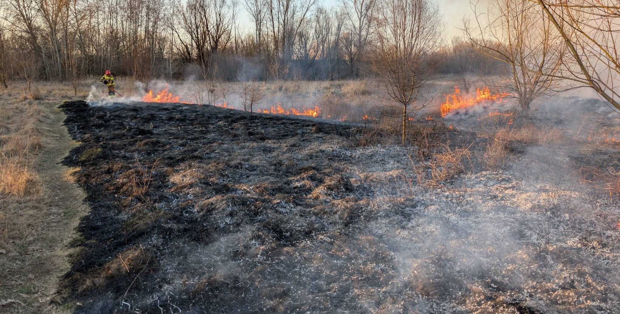 STOP pożarom traw! Apel strażaków o powstrzymanie się od wypalania