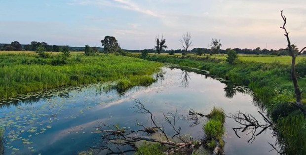 Jaka pogoda czeka nas w Wielkanoc? „Idziemy w kierunku ochłodzenia”