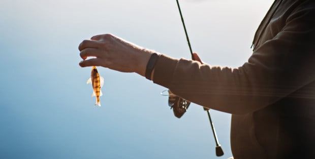 Idealny zestaw na karpia: jak zgrać mocny kołowrotek i czuły sygnalizator brań?