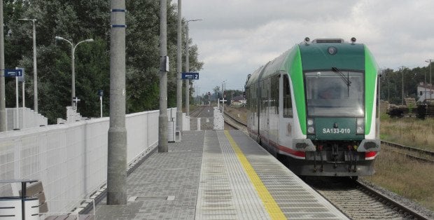 Pociąg relacji Białystok – Warszawa zderzył się z żubrami