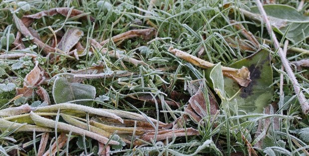 Nocne przymrozki na Mazowszu. IMGW wydał ostrzeżenia
