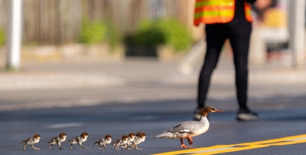 Ruch na Wisłostradzie będzie wstrzymywany. Akcja aktywistów już niebawem