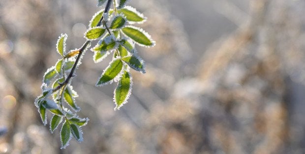 Pogoda na Wielkanoc. Znamy aktualne prognozy IMGW