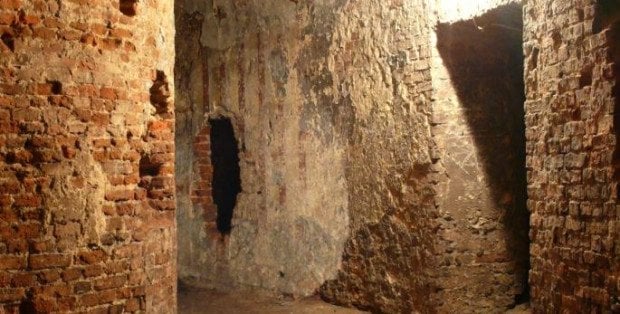 Niezwykli mieszkańcy opuścili Elizeum. Wszystko przez remont