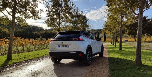 Leasing Peugeot - które modele warto wziąć do firmy?
