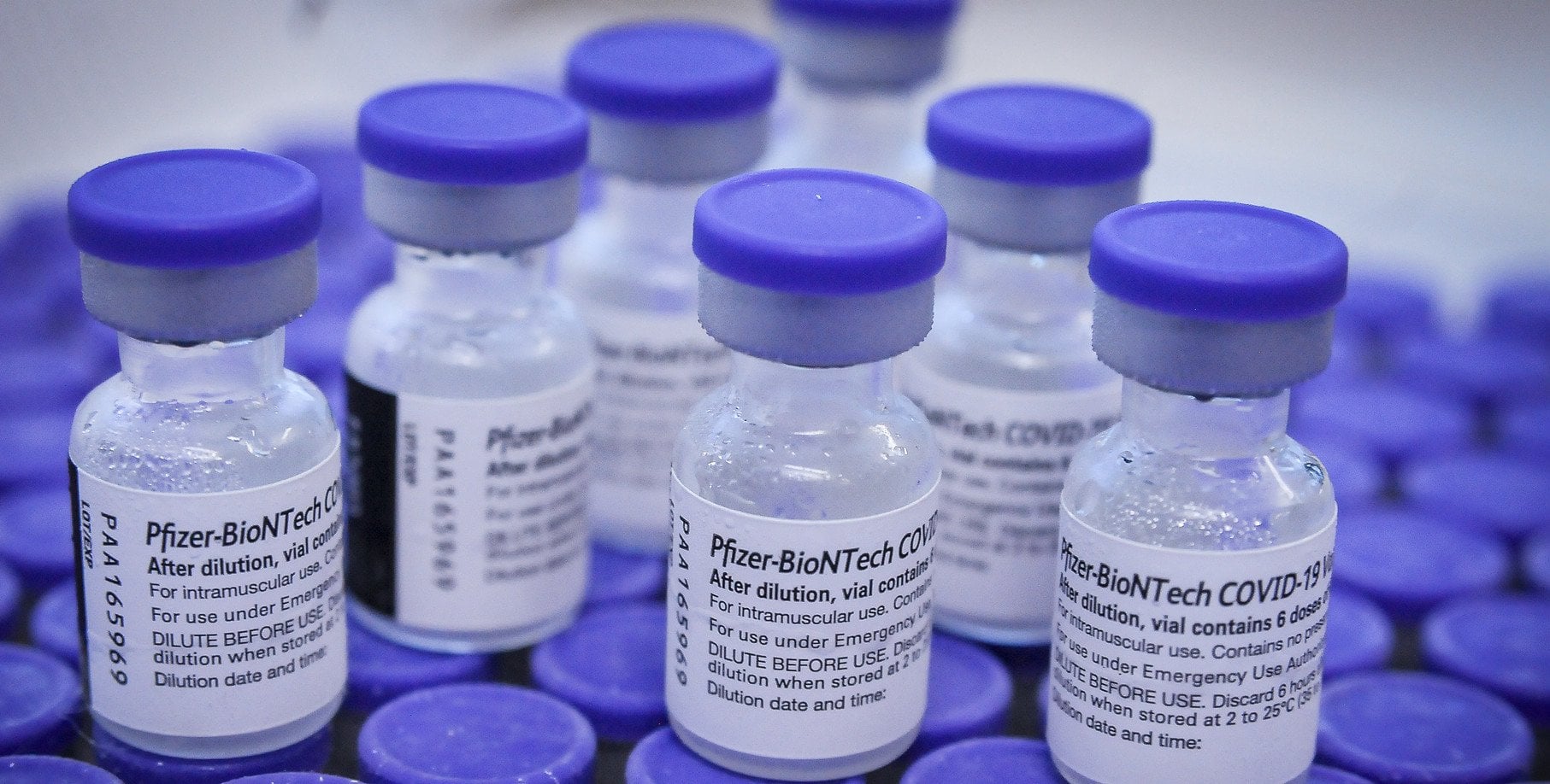 Polska ma odebrać 64 mln szczepionek na COVID i zapłacić Pfizerowi 5,6 mld zł