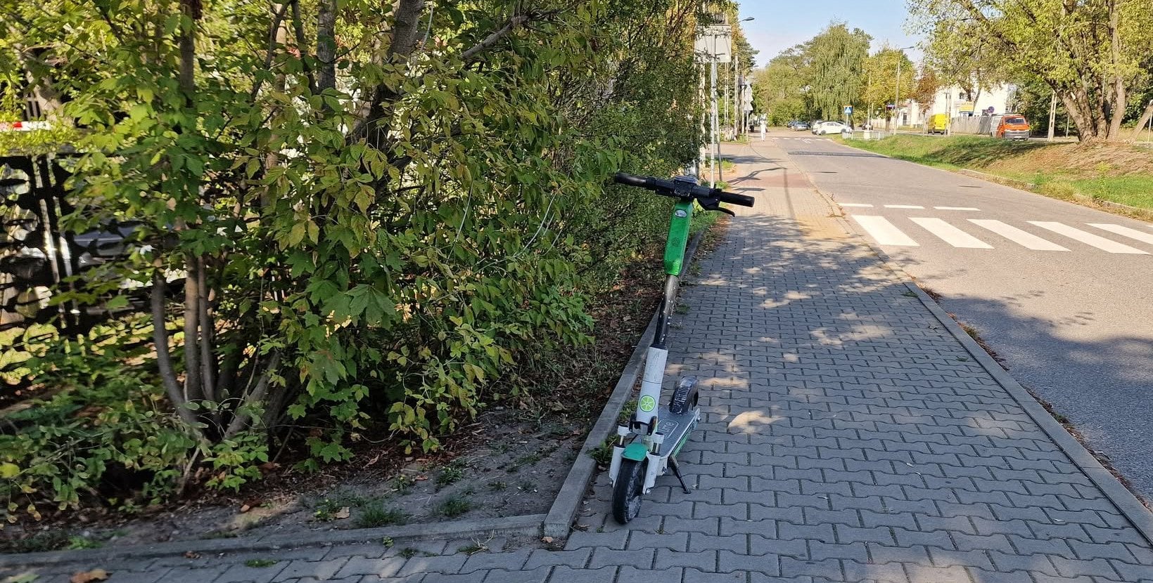 W których parkach będzie zakaz jazdy na hulajnogach? Burmistrz Woli w PR RDC