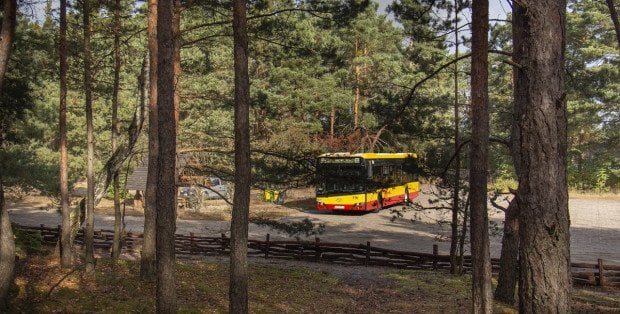 Warszawa uruchamia autobus do parku narodowego. To weekendowa linia