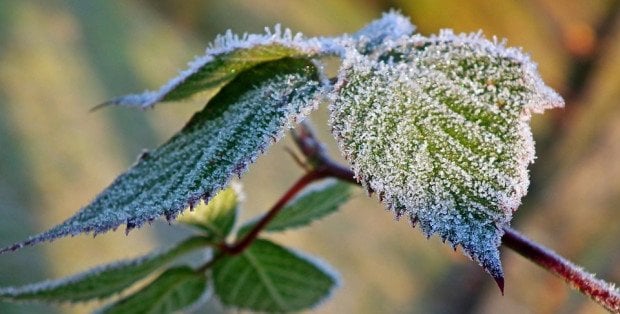Nawet minus 6 stopni Celsjusza. Mroźna noc na Mazowszu, są alerty