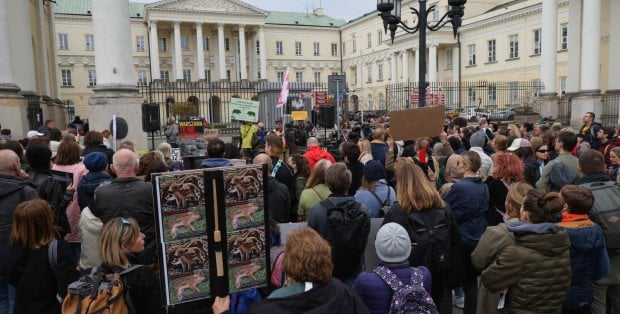 Nie chcą więcej odstrzałów. Obrońcy dzików protestowali przed ratuszem