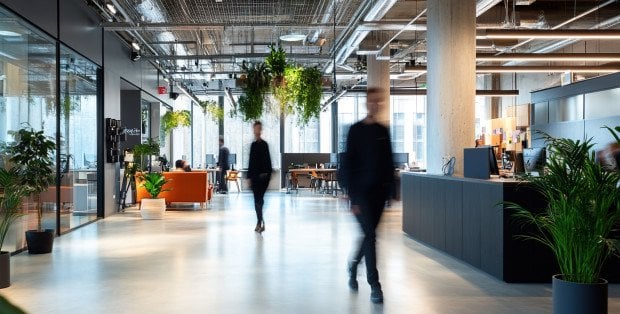 Agencja KENNY, czyli jak skutecznie skalować biznes dzięki technologii i marketingowi