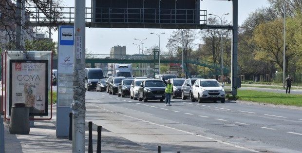 Zablokowały Czerniakowską. Mamy nagranie z pierwszej w tym roku wędrówki nurogęsi