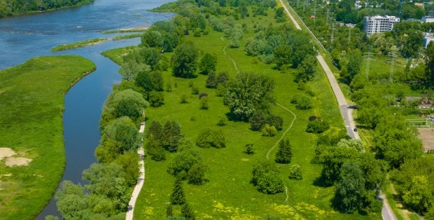 "Miasto nie zrezygnuje z inwestycji". Wiemy, kiedy przetarg na projekt parku na Golędzinowie