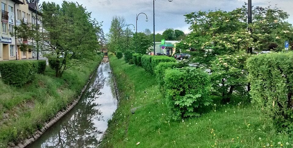 "Widmo suszy hydrologicznej zagląda nam w oczy". Ostrzeżenie dla zlewni Radomki na Mazowszu