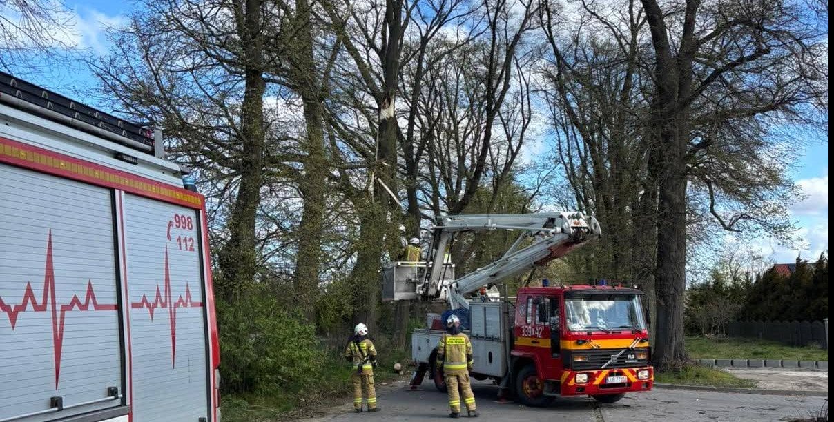 Ponad 1,5 tys. interwencji Straży Pożarnej. IMGW ostrzega przed wichurami i przymrozkami
