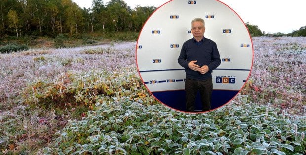 Prezes Związku Sadowników RP: Dzisiejsza noc to prawdziwa tragedia